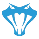 Sinerji logo